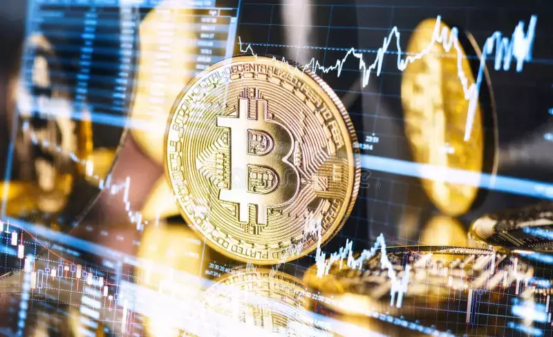比特币(BTC)价格约为66,184美元，同时比特币鲸鱼持有量达到历史新高