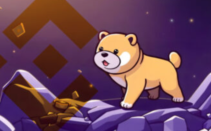BABYDOGE 因埃隆·马斯克提及后交易量飙升 3,130%